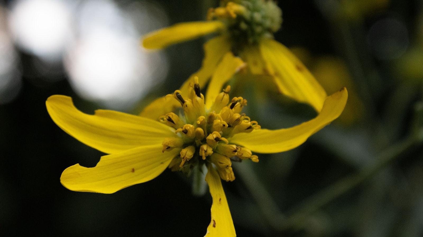 Tipps zur Organisation einer erfolgreichen Strandreinigungsaktion