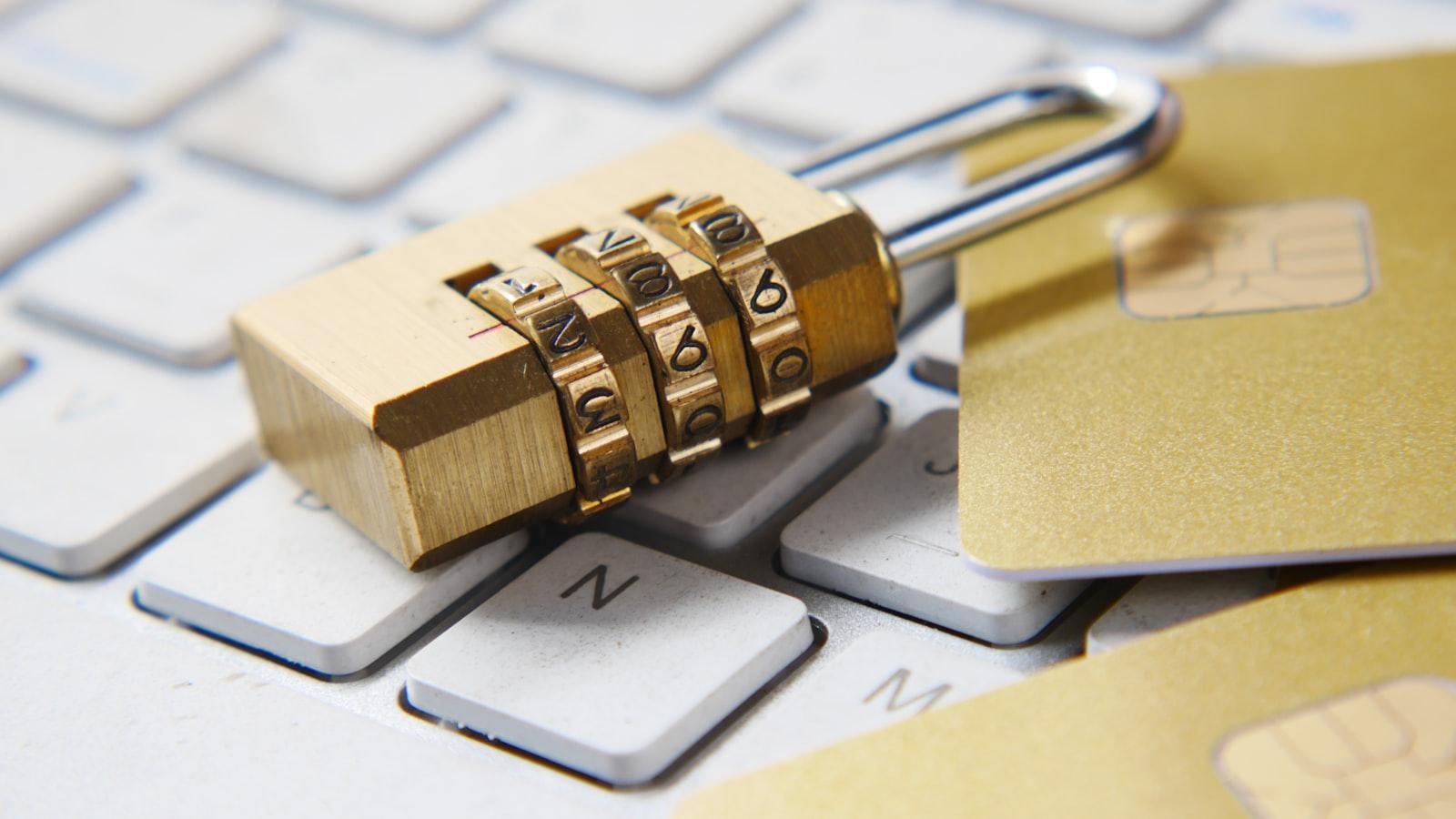 - Schutz vor der Sonne: Die wichtigsten Merkmale von Strandmuscheln